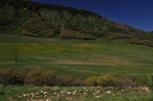 The lucious green hillsides of Highway 160 between Durango and Mancos